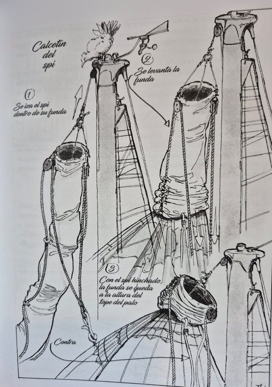 Calcetín spy Tabarly