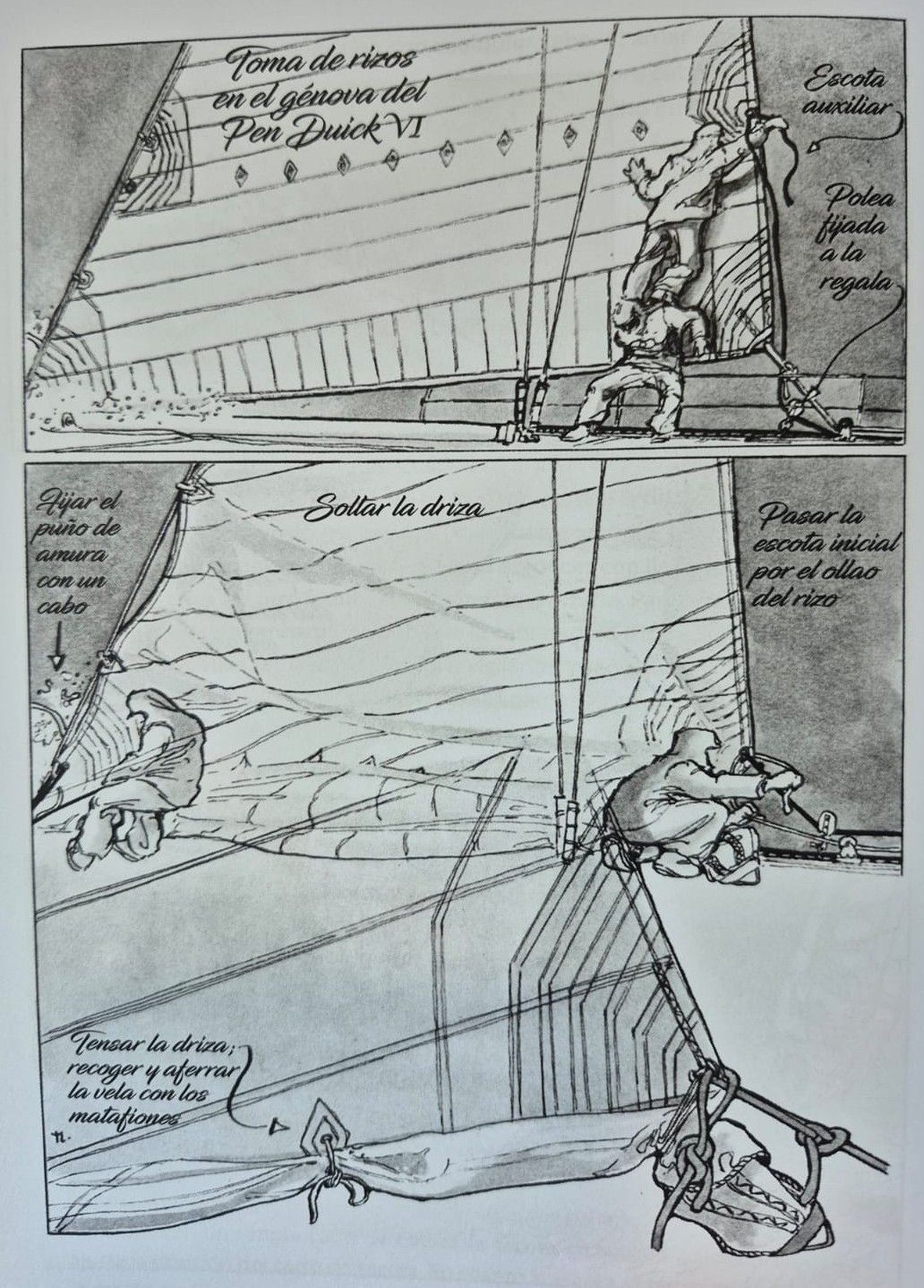 Rizos del genova Tabarly