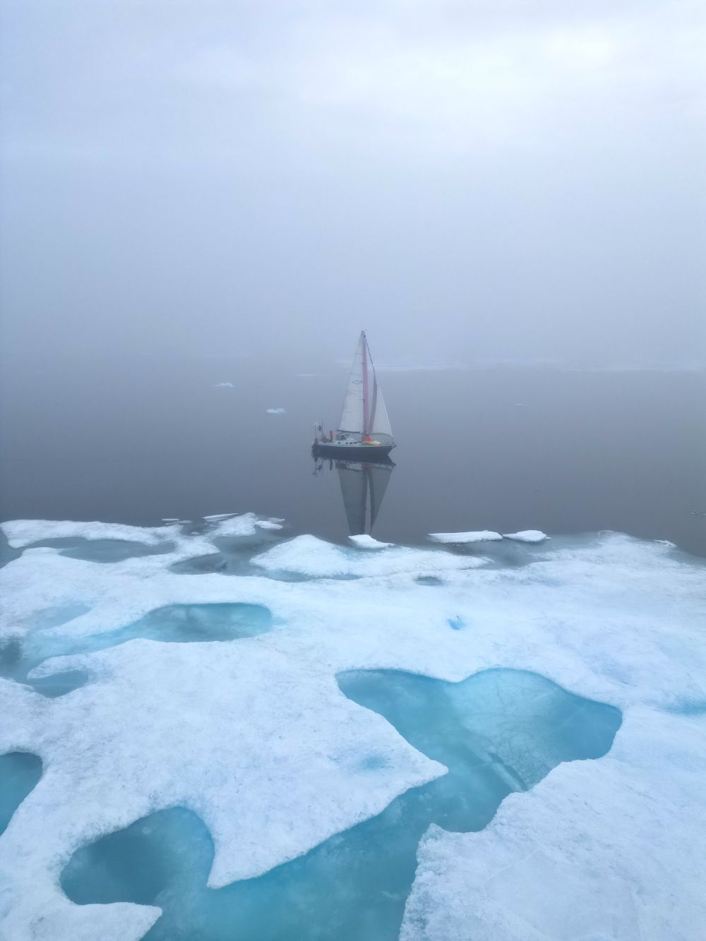 Sardinha en el paso del NW Sardinha en el paso del NW