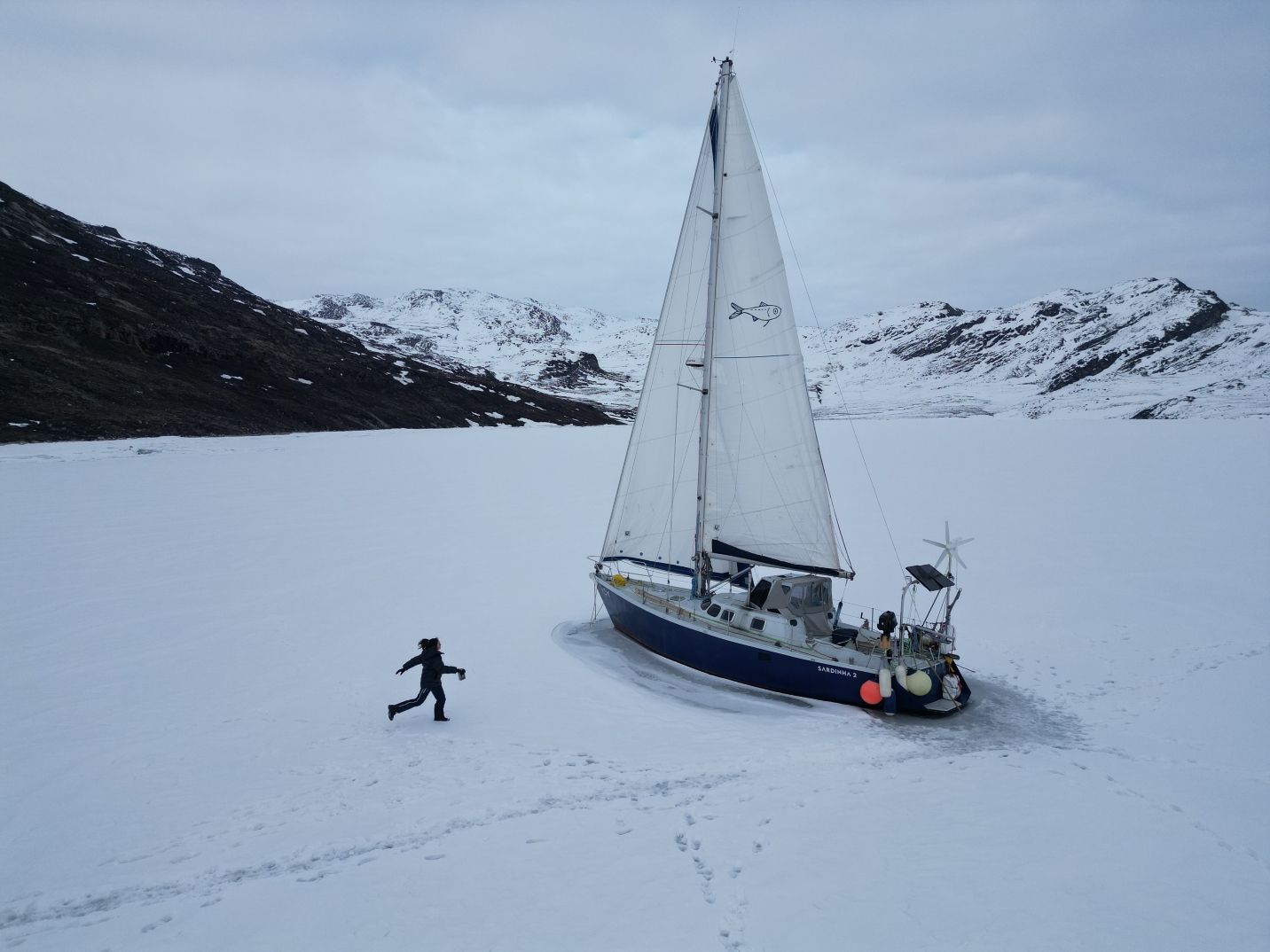 Sardinha hibernaje Sardinha hibernaje