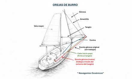 Orejas de burro