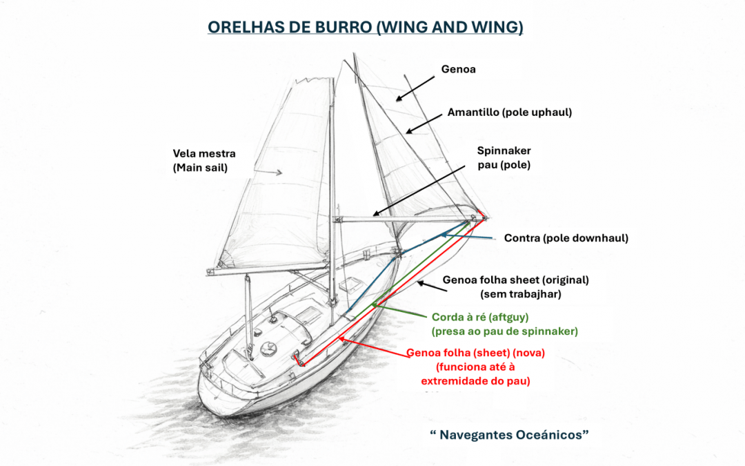 Orelhas de burro (wing and wing)