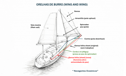 Orelhas de burro (wing and wing)