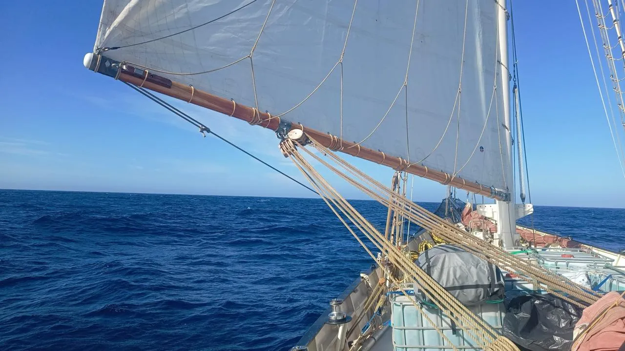 Ushuaia - Cuidad del cabo 2024- Goleta Elsi primer oficial